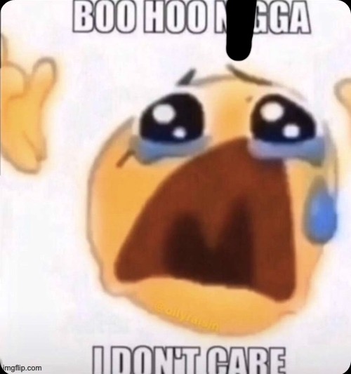 boo hoo I don't care | image tagged in boo hoo i don't care | made w/ Imgflip meme maker