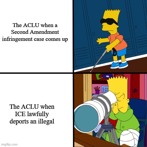 Blind Bart | The ACLU when a Second Amendment infringement case comes up The ACLU when ICE lawfully deports an illegal | image tagged in blind bart | made w/ Imgflip meme maker