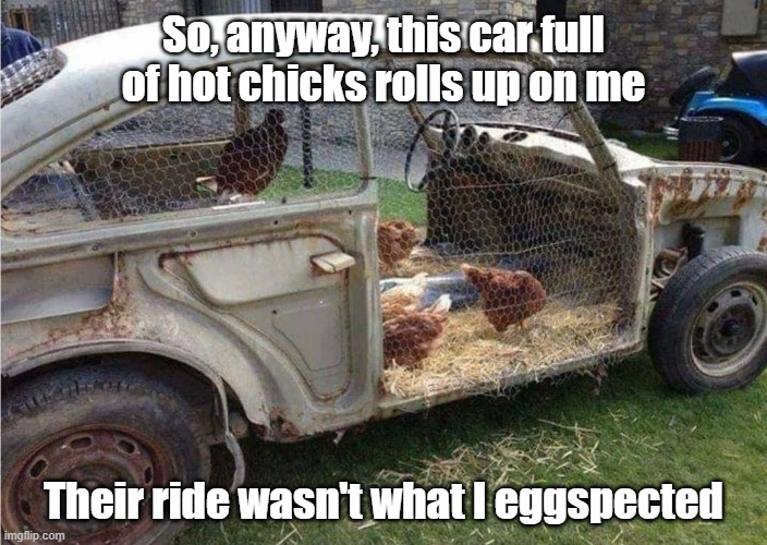 Chick Bug | So, anyway, this car full of hot chicks rolls up on me; Their ride wasn't what I eggspected | image tagged in chicken,vw,beetle,eggzactly | made w/ Imgflip meme maker