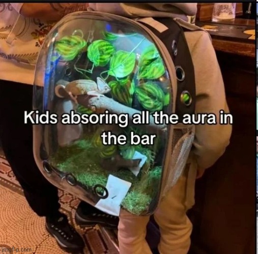 image tagged in msmg | made w/ Imgflip meme maker