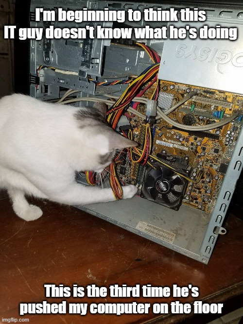 IT Helpless Desk | I'm beginning to think this IT guy doesn't know what he's doing; This is the third time he's pushed my computer on the floor | image tagged in cat,it,helpdesk,bad kitty | made w/ Imgflip meme maker