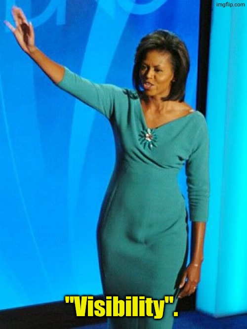 Michelle Obama | "Visibility". | image tagged in michelle obama | made w/ Imgflip meme maker