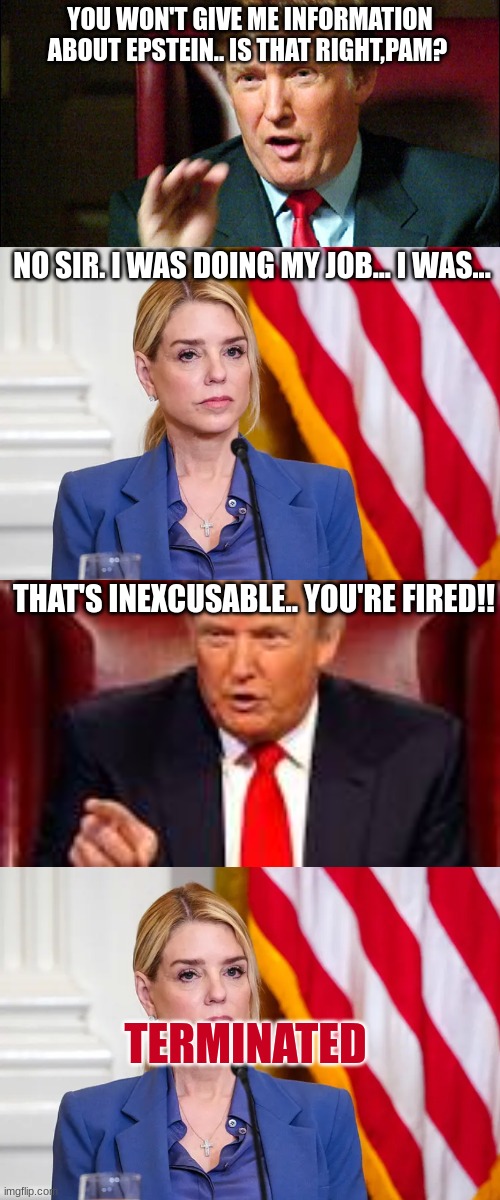 Trump FIRES Pam Bondi on his show... | YOU won't give me information about Epstein.. is that right,Pam? No Sir. I was doing my Job... I was... That's inexcusable.. YOU'RE FIRED!! TERMINATED | image tagged in trump apprentice - you're fired,pam bondi,you're fired | made w/ Imgflip meme maker