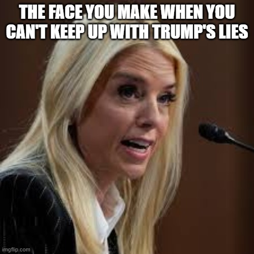 F E L O N | the face you make when you can't keep up with trump's lies | made w/ Imgflip meme maker