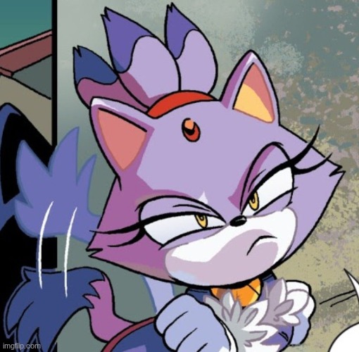 Blaze the cat | image tagged in blaze the cat | made w/ Imgflip meme maker