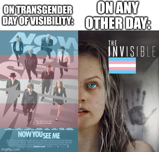 Visibility Day's over, but I got this idea and just had to do it! No matter what day it is, you and your rights matter! | On any other day:; On Transgender Day of Visibility: | made w/ Imgflip meme maker