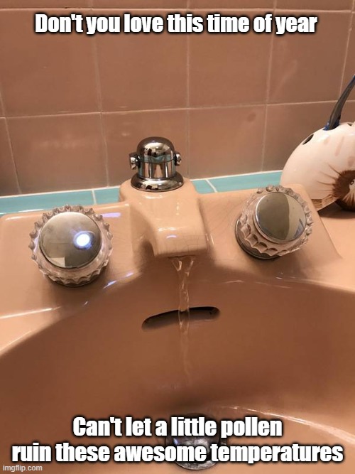 Snot Right | Don't you love this time of year; Can't let a little pollen ruin these awesome temperatures | image tagged in pollen,snot,runny,weather | made w/ Imgflip meme maker