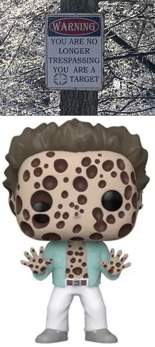 You Are The Target | image tagged in funny signs,warning sign,target practice,holes,cursed image,so you have chosen death | made w/ Imgflip meme maker