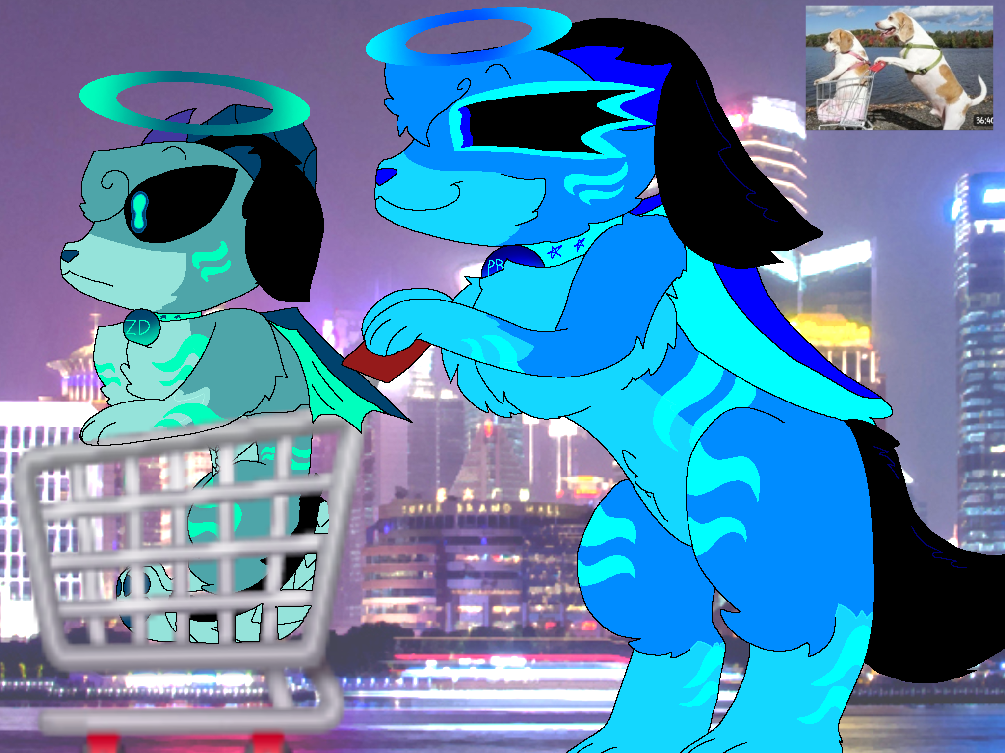 I'm shopping Blank Meme Template