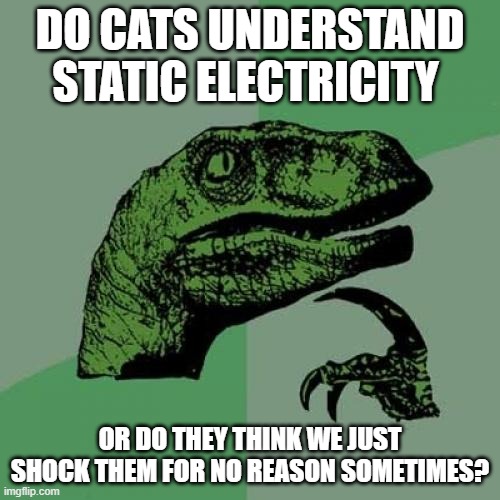 Asking the real questions here... | do cats understand static electricity; or do they think we just shock them for no reason sometimes? | image tagged in memes,philosoraptor,cats,static electricity | made w/ Imgflip meme maker