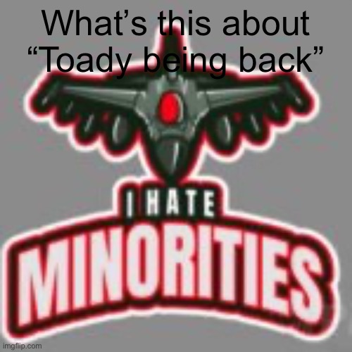 i hate minorities | What’s this about “Toady being back” | image tagged in i hate minorities | made w/ Imgflip meme maker