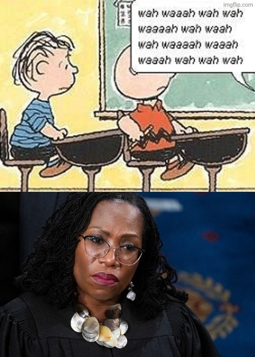 They're the same picture! | image tagged in charlie brown teacher,ketanji brown jackson | made w/ Imgflip meme maker