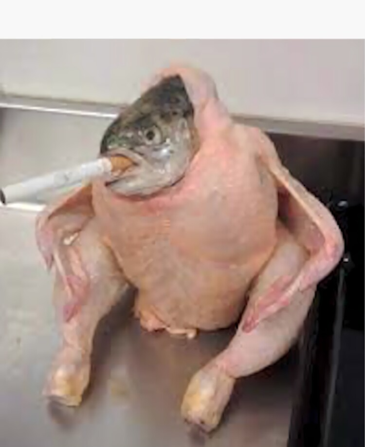 TurCarp Blank Meme Template