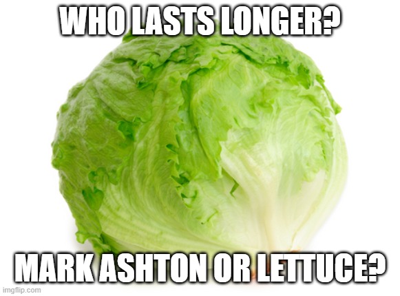 Lettuce  | Who Lasts Longer? Mark Ashton or Lettuce? | image tagged in lettuce | made w/ Imgflip meme maker