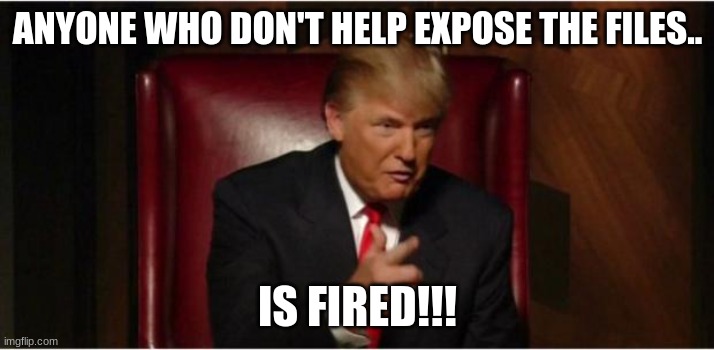 you're fired | Anyone who don't help expose the files.. IS FIRED!!! | image tagged in you're fired | made w/ Imgflip meme maker