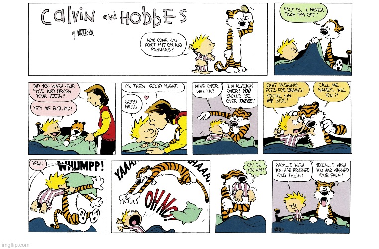 image tagged in calvin and hobbes,comics | made w/ Imgflip meme maker