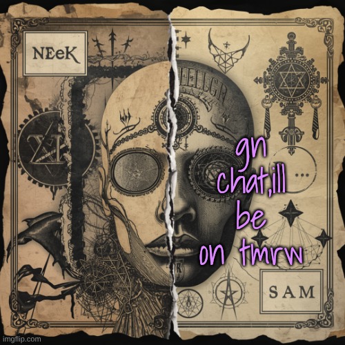 Cloud_Neek & Sam Shared temp | gn chat,ill be on tmrw | image tagged in cloud_neek sam shared temp | made w/ Imgflip meme maker