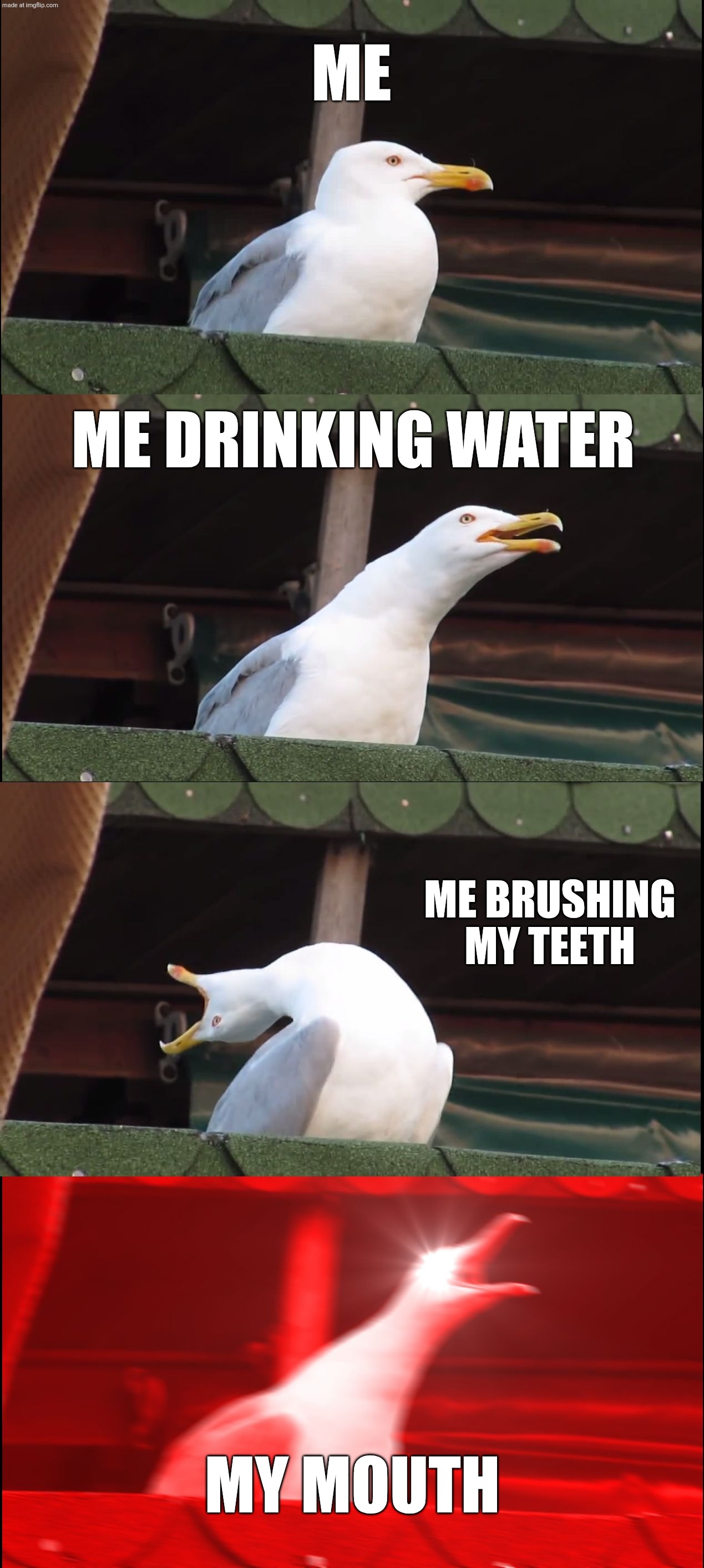 it BURNS | ME; Me drinking water; Me brushing my teeth; My mouth | image tagged in memes,inhaling seagull | made w/ Imgflip meme maker