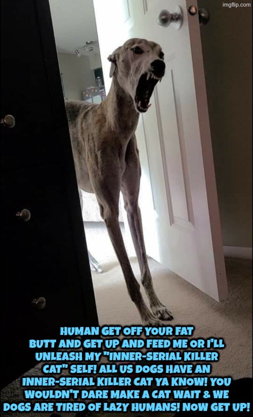Dogs Have An "Inner-serial Killer Cat" Inside | Human get off your fat butt and get up and feed me or I'll unleash my "inner-serial killer cat" self! All us dogs have an inner-serial killer cat ya know! You wouldn't dare make a cat wait & we dogs are tired of lazy humans! Now get up! | image tagged in dogs,angry dog,cats,serial killer,feed me,wake up | made w/ Imgflip meme maker