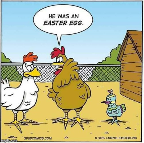 image tagged in chickens,chick,colorful,easter egg,easter,happy easter | made w/ Imgflip meme maker