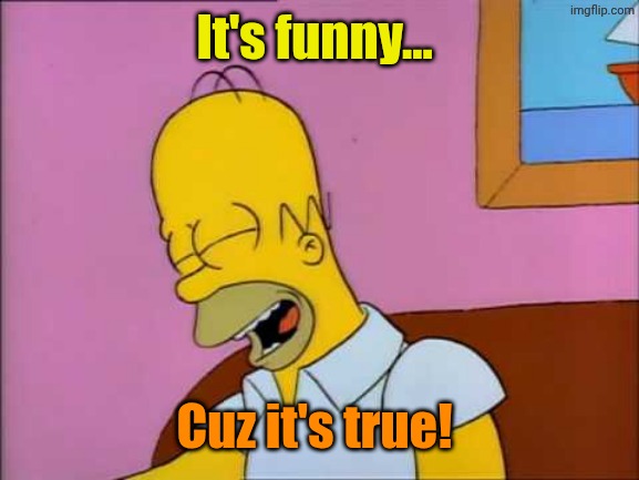 It's funny... Cuz it's true! | image tagged in funny cause it's true | made w/ Imgflip meme maker