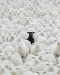 Social Psych Meme Blank Meme Template