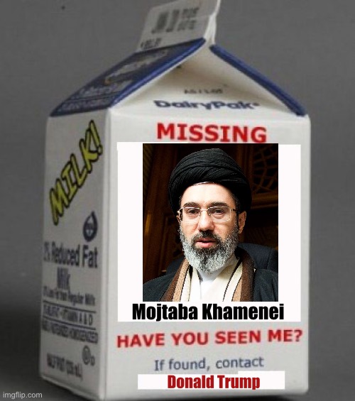 Reward if found: 72 virgin goats | Mojtaba Khamenei; Donald Trump | image tagged in milk carton,memes,maga,trump,funny,iran | made w/ Imgflip meme maker