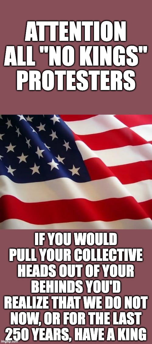 American flag | attention
all "no kings"
protesters; if you would pull your collective heads out of your behinds you'd realize that we do not now, or for the last 250 years, have a king | image tagged in american flag | made w/ Imgflip meme maker