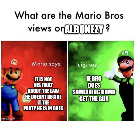 Mario Bros Views | Albonezy; If bro does something dumb get the gun; It is not his fault about the law he doesnt decide it the party he is in does | image tagged in mario bros views | made w/ Imgflip meme maker