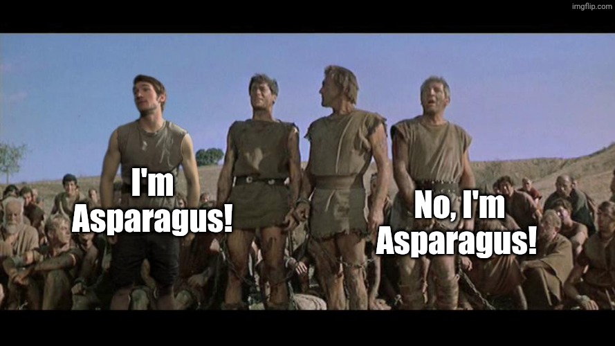 I am Spartacus | I'm Asparagus! No, I'm Asparagus! | image tagged in i am spartacus | made w/ Imgflip meme maker