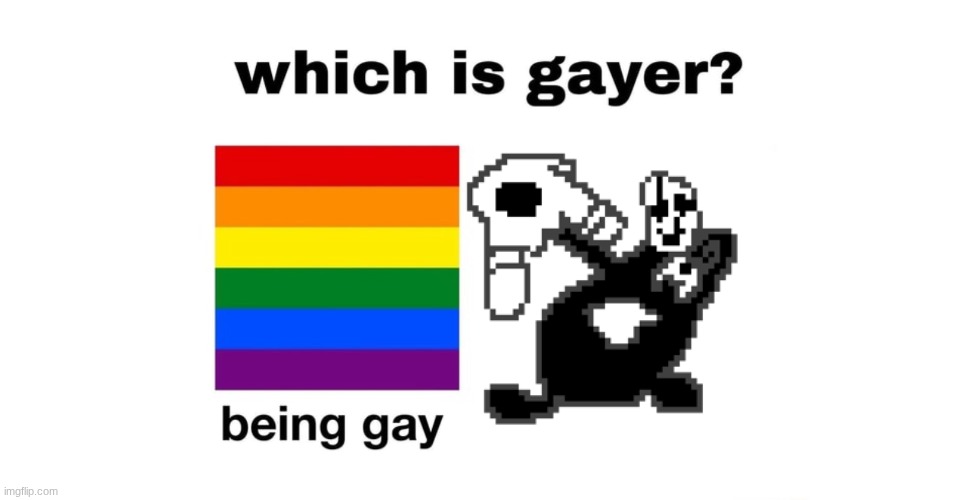 Which Is Gayer? | image tagged in which is gayer | made w/ Imgflip meme maker