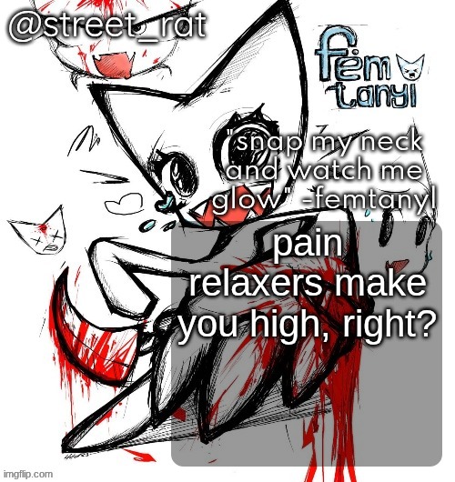 or am I fucking stupid | pain relaxers make you high, right? | image tagged in rats femt temp again | made w/ Imgflip meme maker