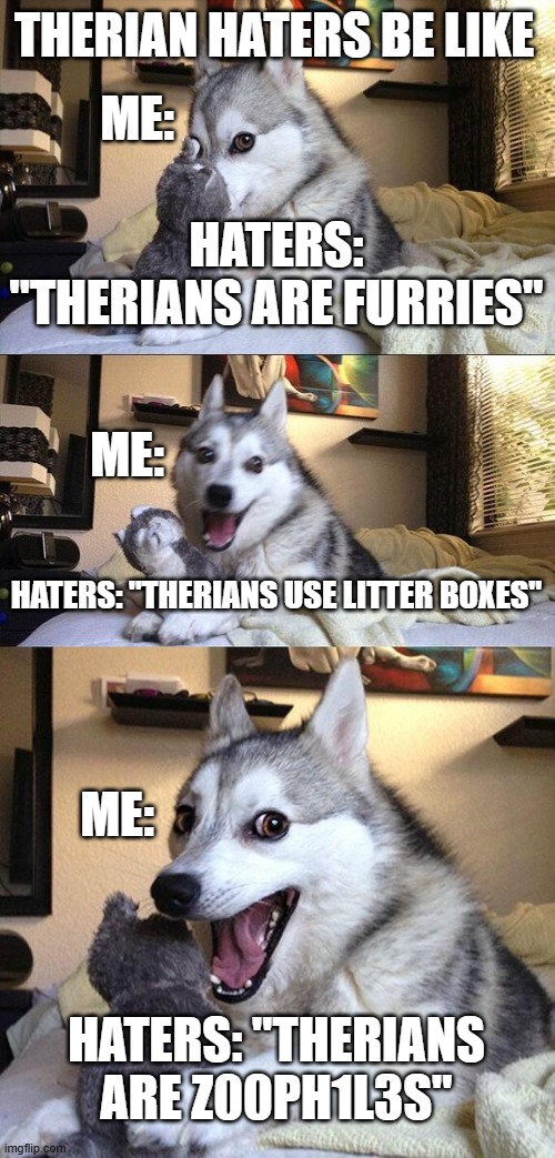 Bad Pun Dog Meme | Therian haters be like; Me:; Haters: "Therians are furries"; Me:; Haters: "Therians use litter boxes"; Me:; Haters: "Therians are z00ph1l3s" | image tagged in memes,bad pun dog | made w/ Imgflip meme maker