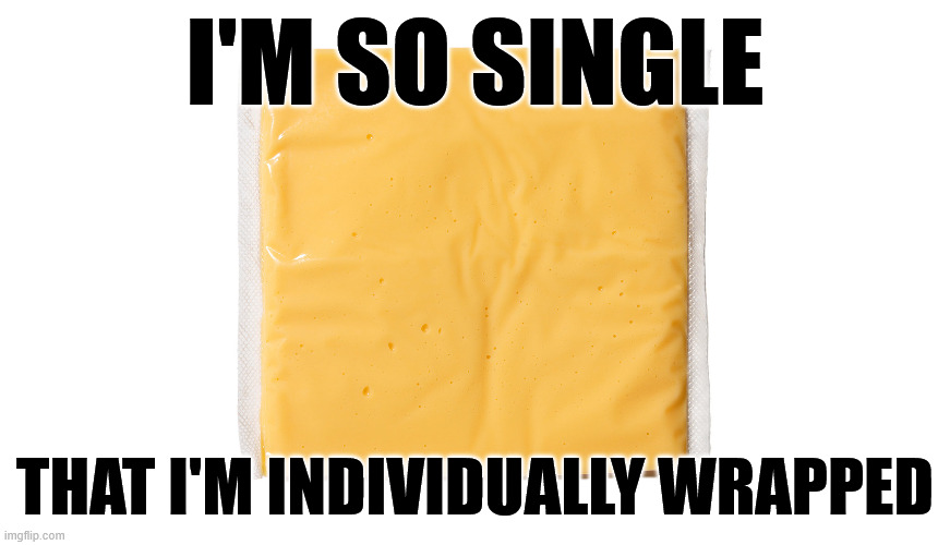 i'm so single; that i'm individually wrapped | image tagged in single | made w/ Imgflip meme maker
