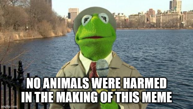 Kermit News Report | no animals were harmed in the making of this meme | image tagged in kermit news report | made w/ Imgflip meme maker