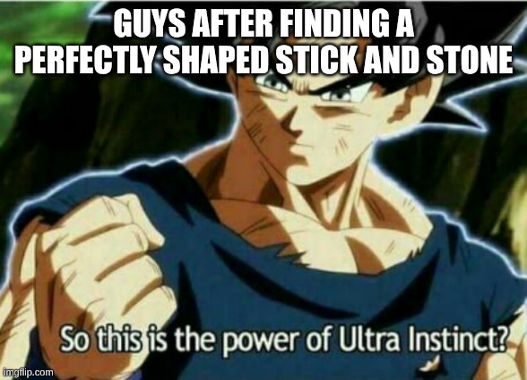 So this is the power of ultra instinct | guys after finding a perfectly shaped stick and stone | image tagged in so this is the power of ultra instinct | made w/ Imgflip meme maker
