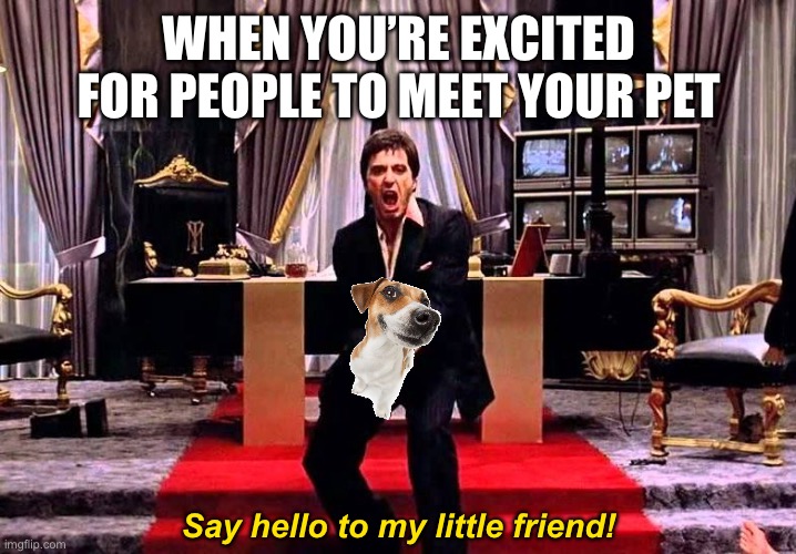 Say Hello to my little Friend | When you’re excited for people to meet your pet; Say hello to my little friend! | image tagged in say hello to my little friend | made w/ Imgflip meme maker