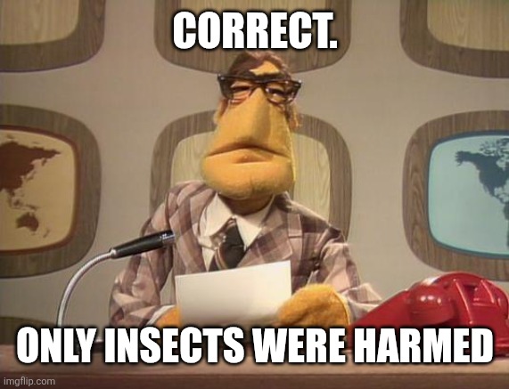 muppet news | Correct. Only insects were harmed | image tagged in muppet news | made w/ Imgflip meme maker