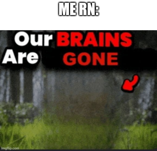 our brains are | Me rn: | image tagged in our brains are | made w/ Imgflip meme maker