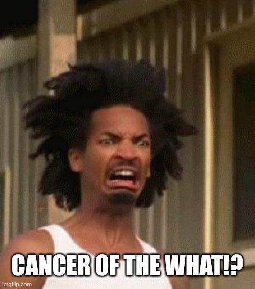 Disgusted Face | Cancer of the what!? | image tagged in disgusted face | made w/ Imgflip meme maker