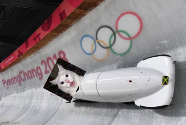 Bobsled | image tagged in bobsled | made w/ Imgflip meme maker