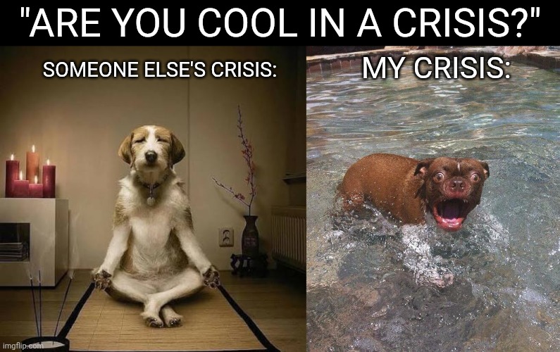 Problems | "Are you cool in a crisis?"; Someone else's crisis:; My crisis: | image tagged in crisis,double standards,adhd,job interview | made w/ Imgflip meme maker