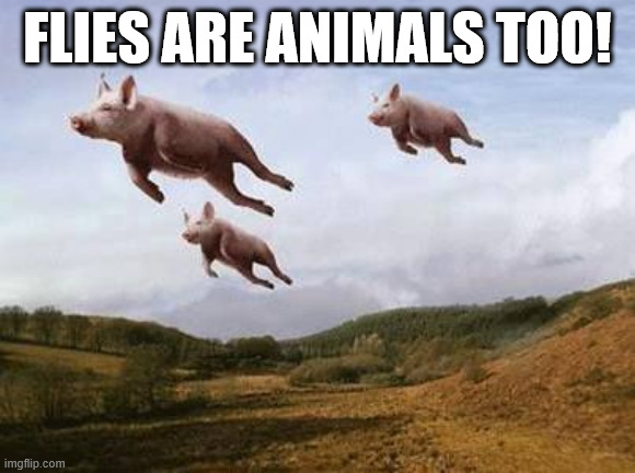 Pigs Fly | flies are animals too! | image tagged in pigs fly | made w/ Imgflip meme maker
