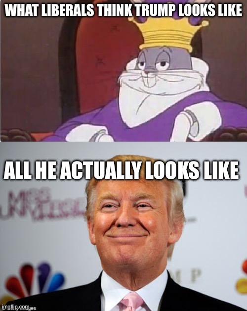 What liberals think trump looks like; All he actually looks like | image tagged in bugs bunny king,donald trump approves,no kings,donald trump,stupid liberals | made w/ Imgflip meme maker