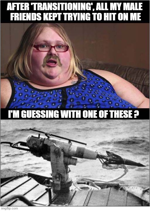 Only In Her Imagination | After 'transitioning', all my male
 friends kept trying to hit on me; I'm guessing With one of these ? | image tagged in obese,transgender,hitting,harpoon,mental illness | made w/ Imgflip meme maker