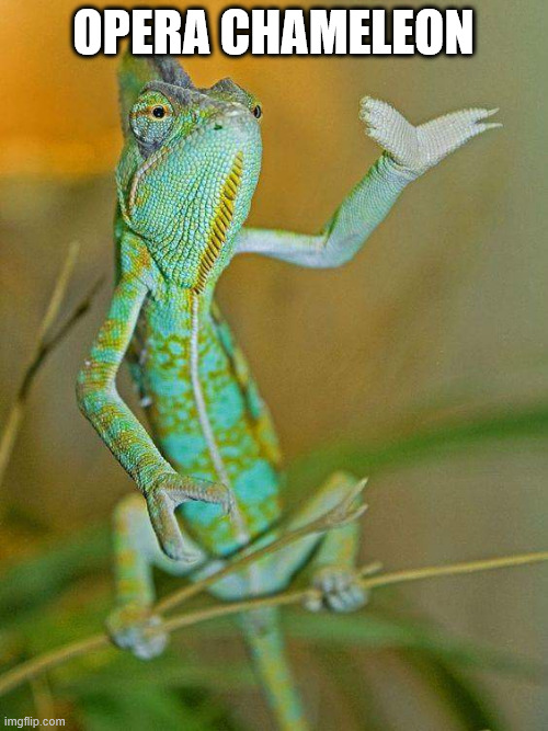 Chameleon  | opera chameleon | image tagged in chameleon | made w/ Imgflip meme maker