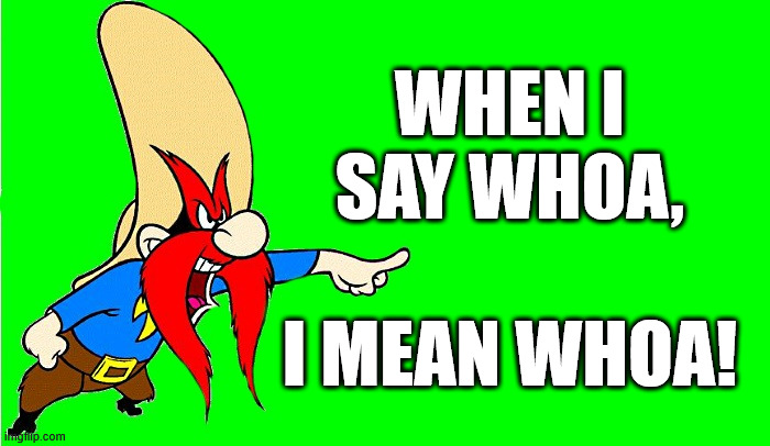 yosemite sam  | when i
say whoa,
 
i mean whoa! | image tagged in yosemite sam | made w/ Imgflip meme maker