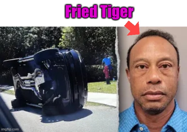Fried Tiger | made w/ Imgflip meme maker