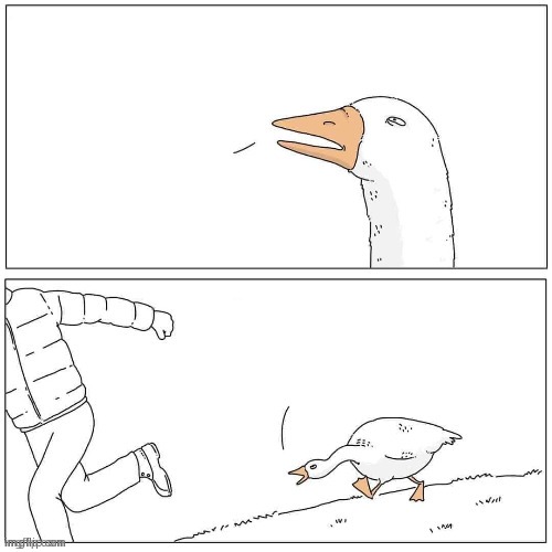 Goose Chase | image tagged in goose chase | made w/ Imgflip meme maker