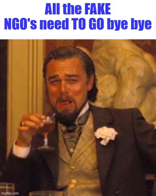 FRAUD CENTRAL non profits fake LLC on & on | All the FAKE NGO's need TO GO bye bye | image tagged in memes,laughing leo | made w/ Imgflip meme maker